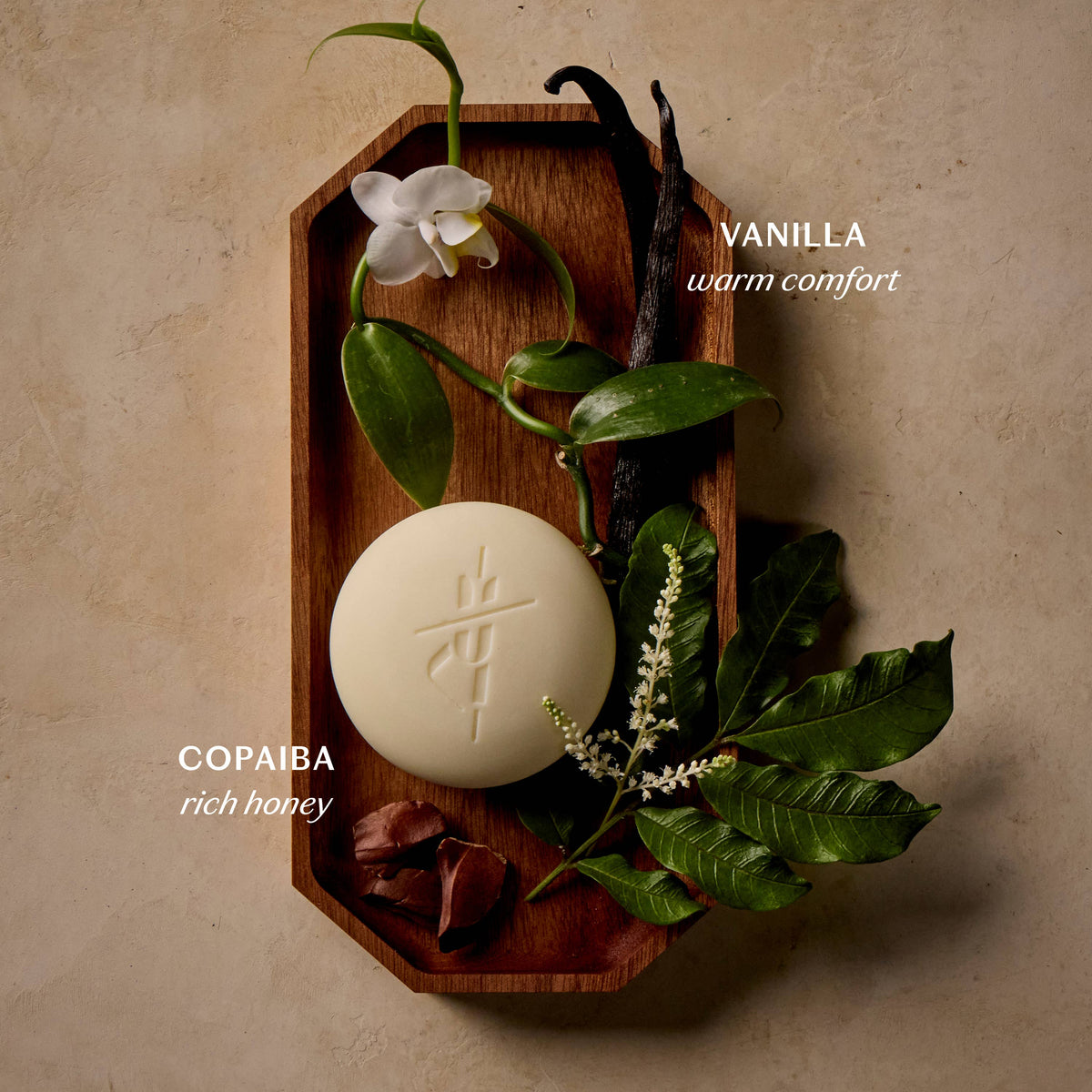 Kate McLeod - Vanilla & Copaiba | Deep Moisturizing Lotion Bar