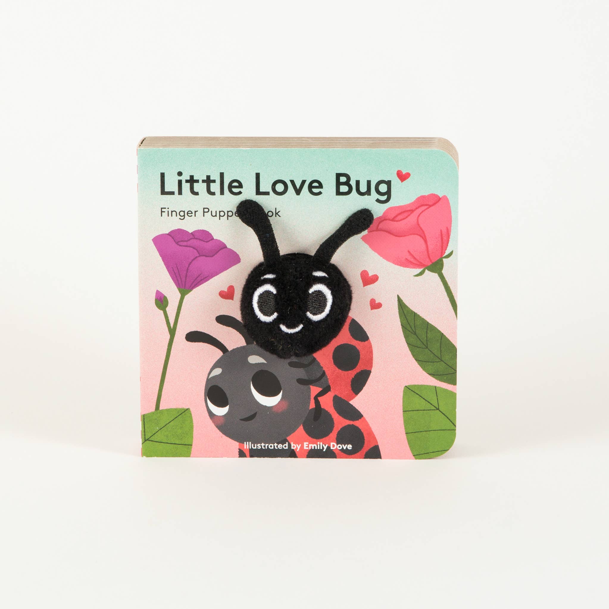 Chronicle Books - Little Love Bug