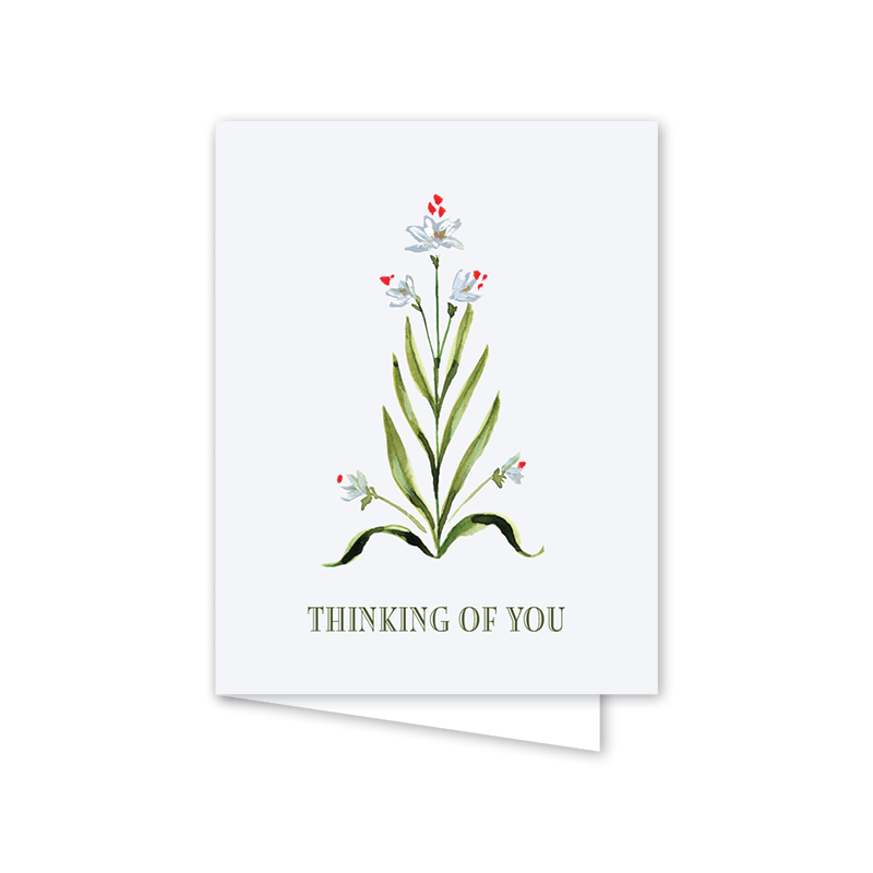 Dogwood Hill - Paperwhites Scallop Thinking of You