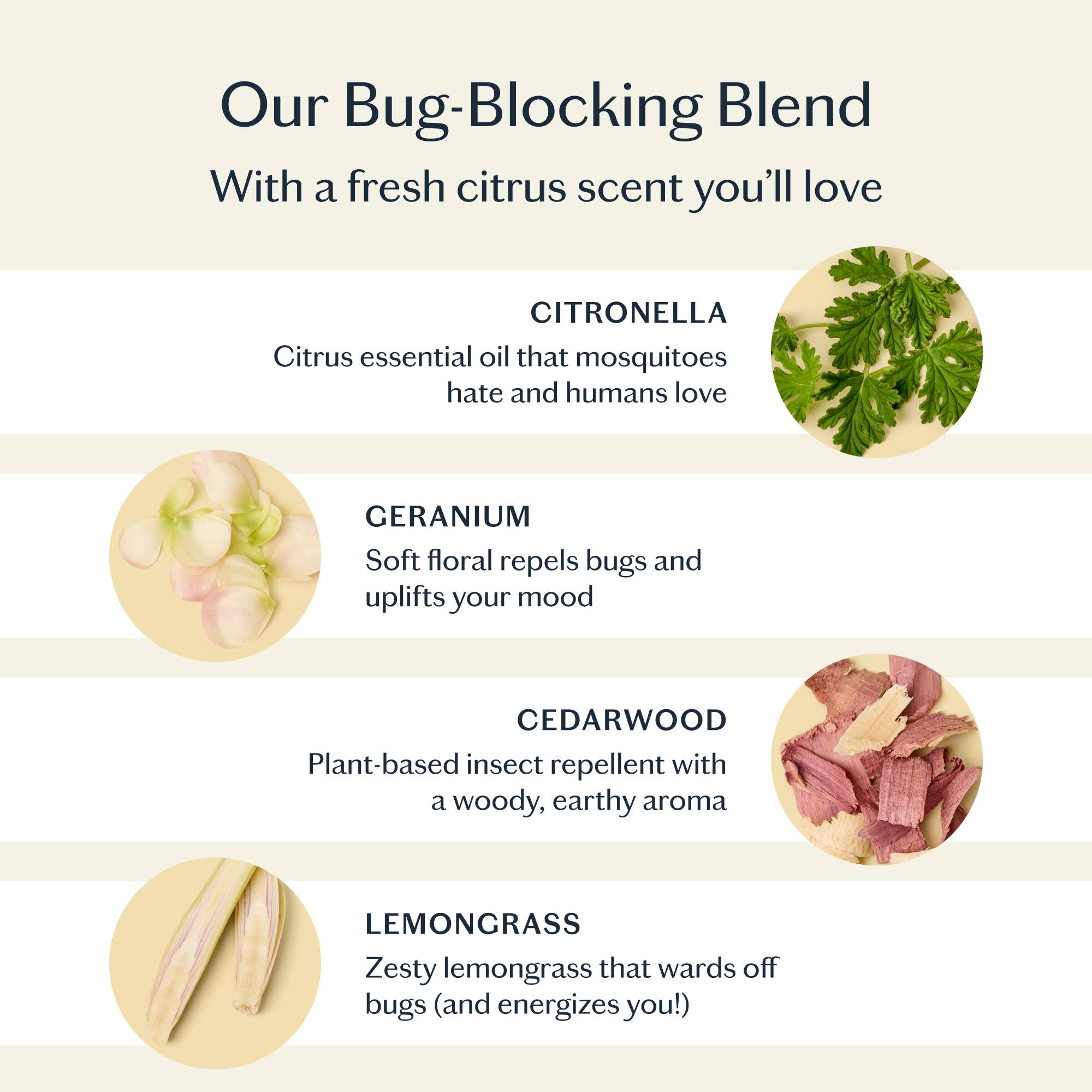 Kate McLeod - The Bug Balm | All-Natural Insect Repellent