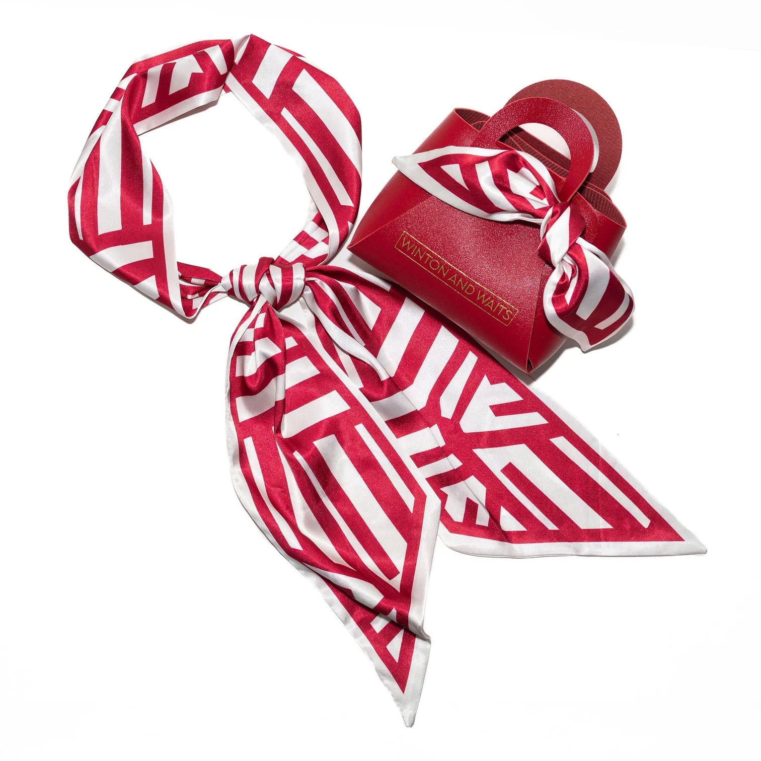 Game Day Accessory Scarf