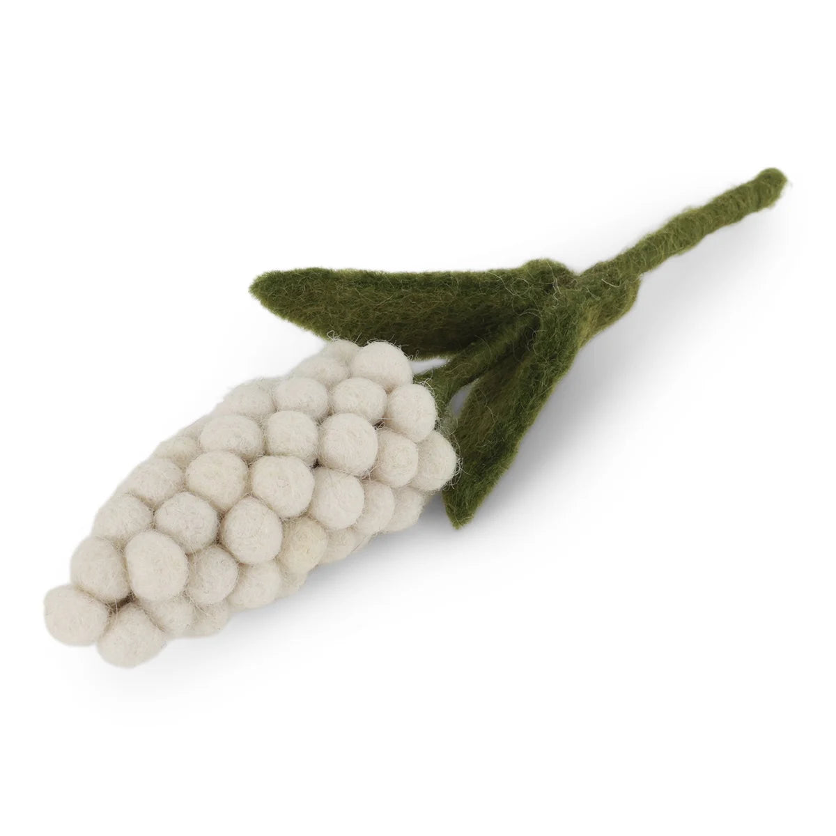 White Pearl Hyacinth