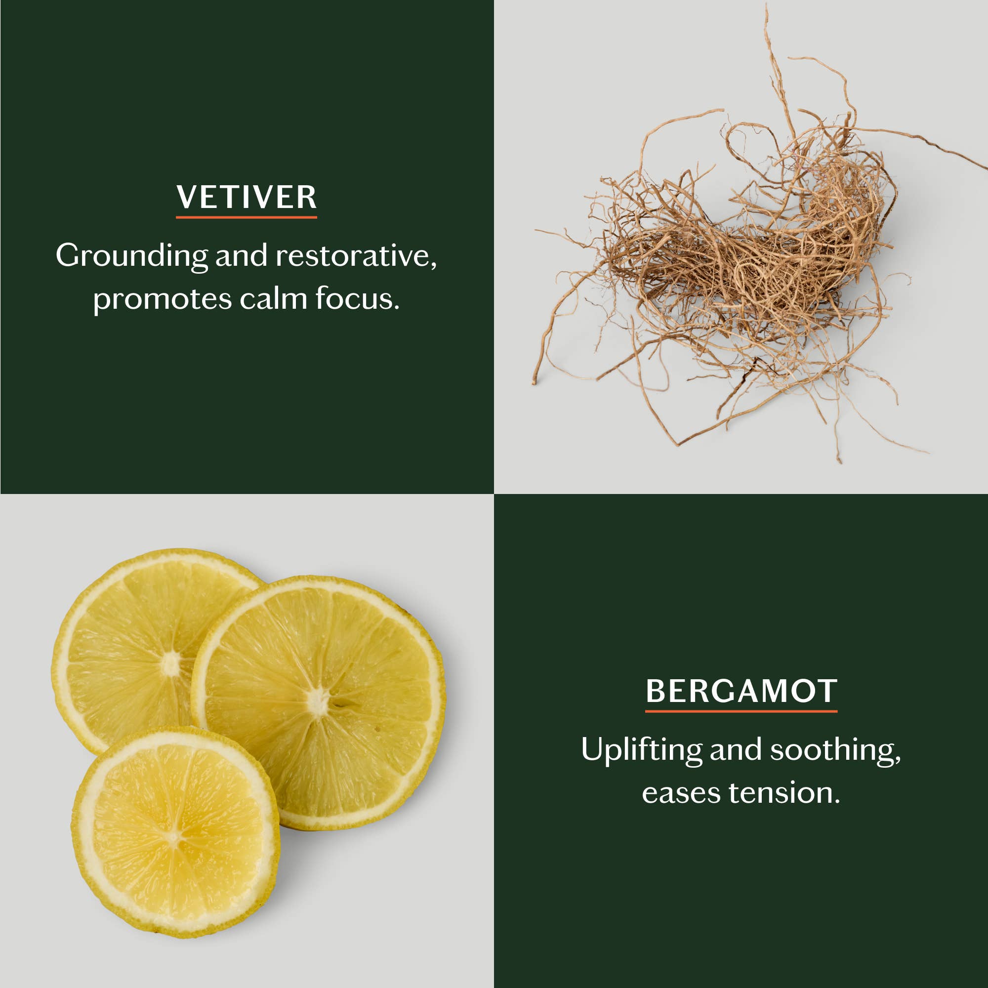 Grounding Stone | Deep Moisturizing Lotion Bar