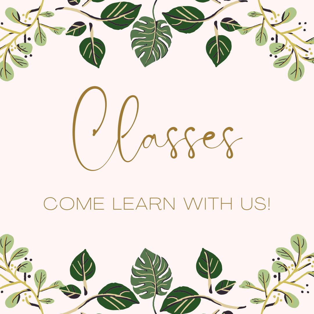 Willow &amp; Pine Market Class Schedule