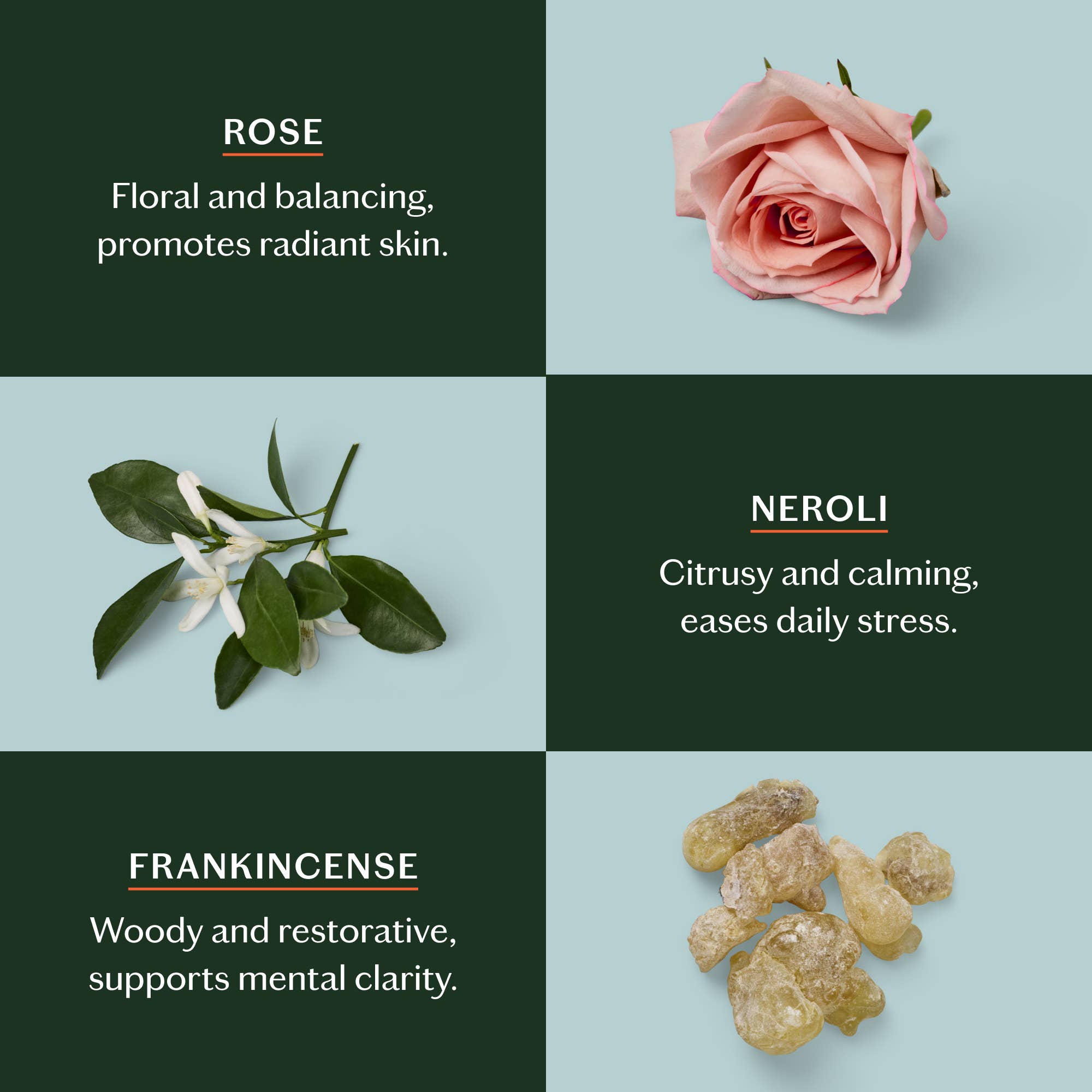 Daily Stone | Deep Moisturizing Lotion Bar