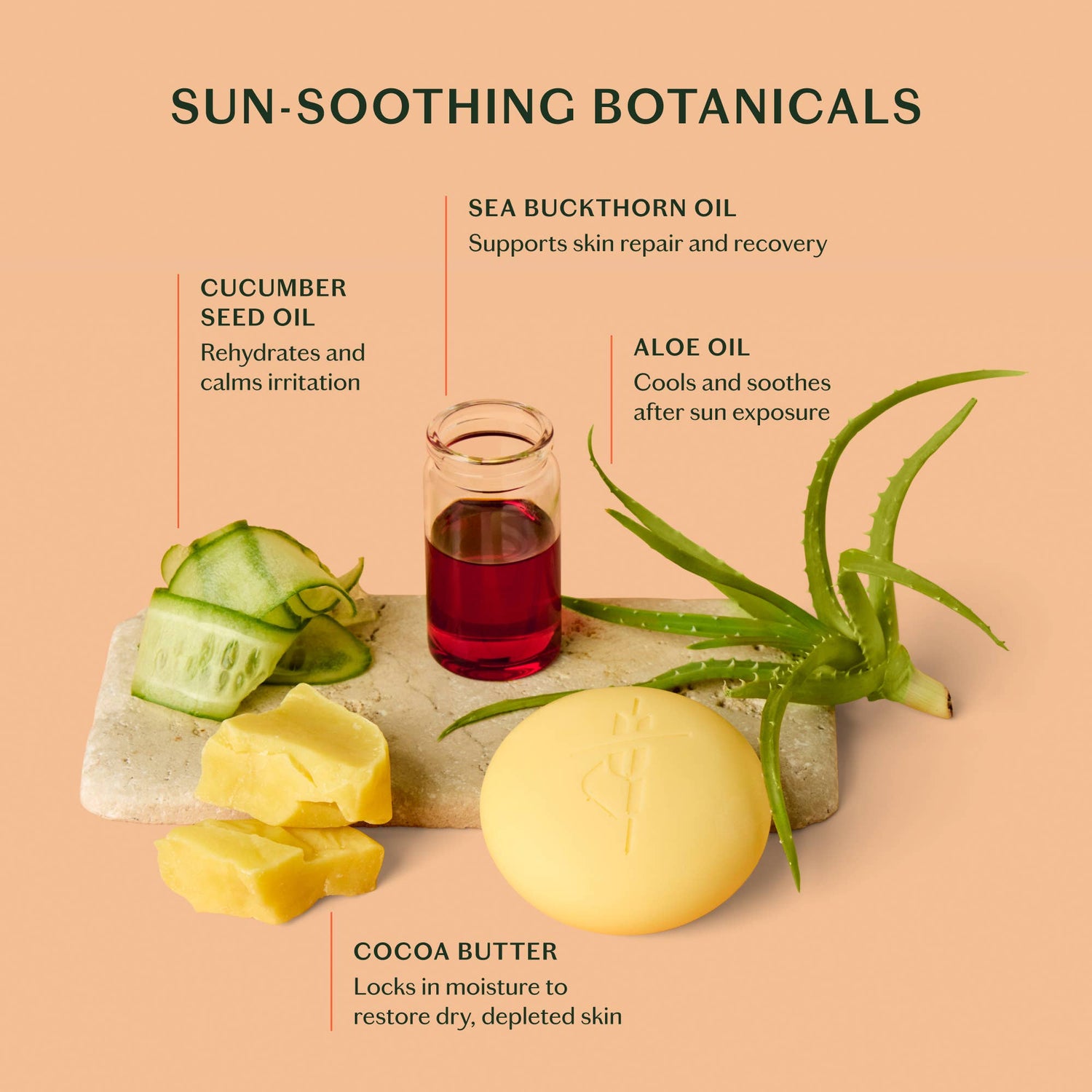 Kate McLeod - The Sun Stone | After Sun Balm &amp; Lotion Bar