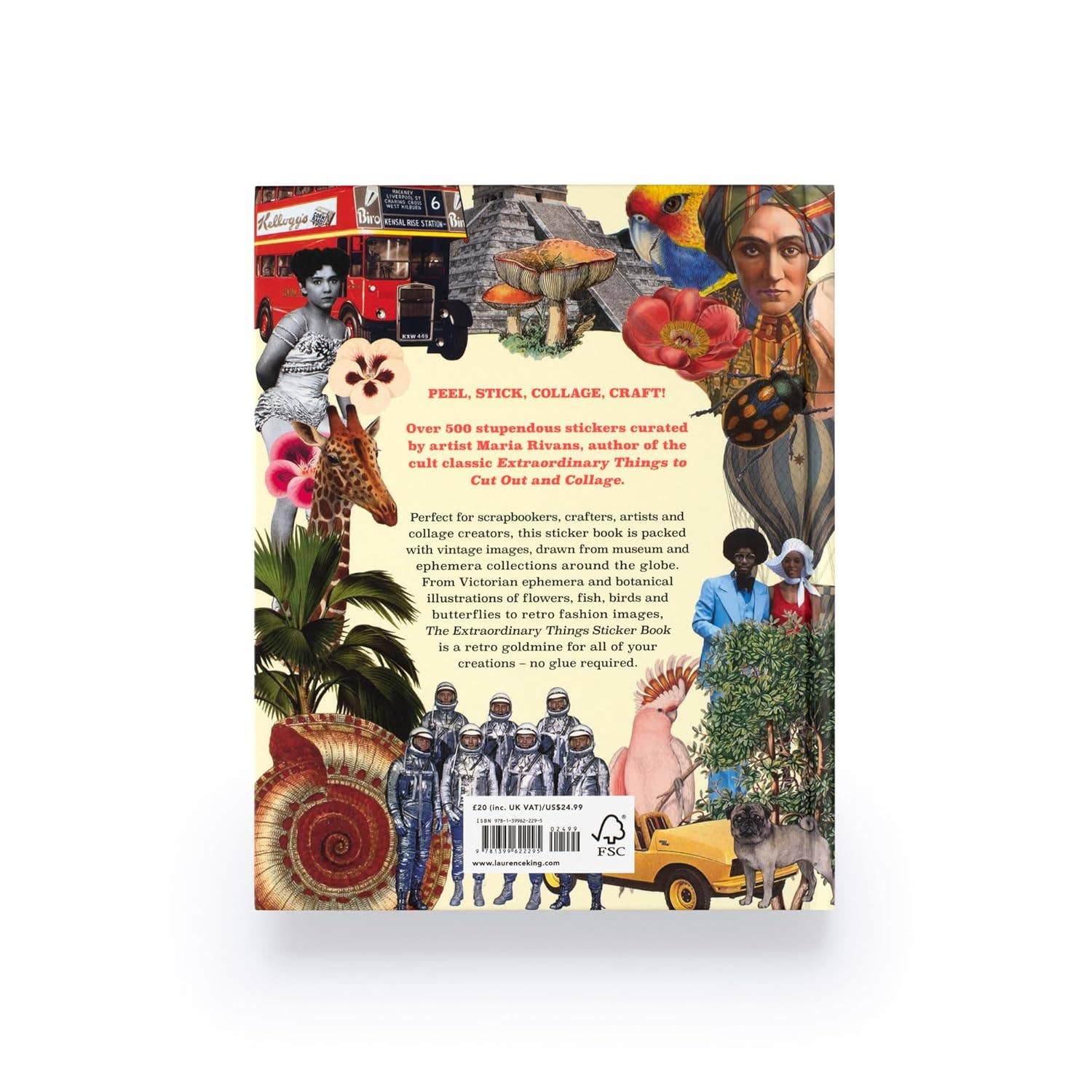 Chronicle Books - Extraordinary Things Sticker Book