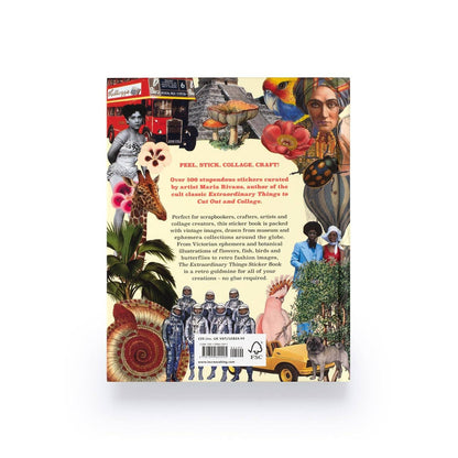 Chronicle Books - Extraordinary Things Sticker Book