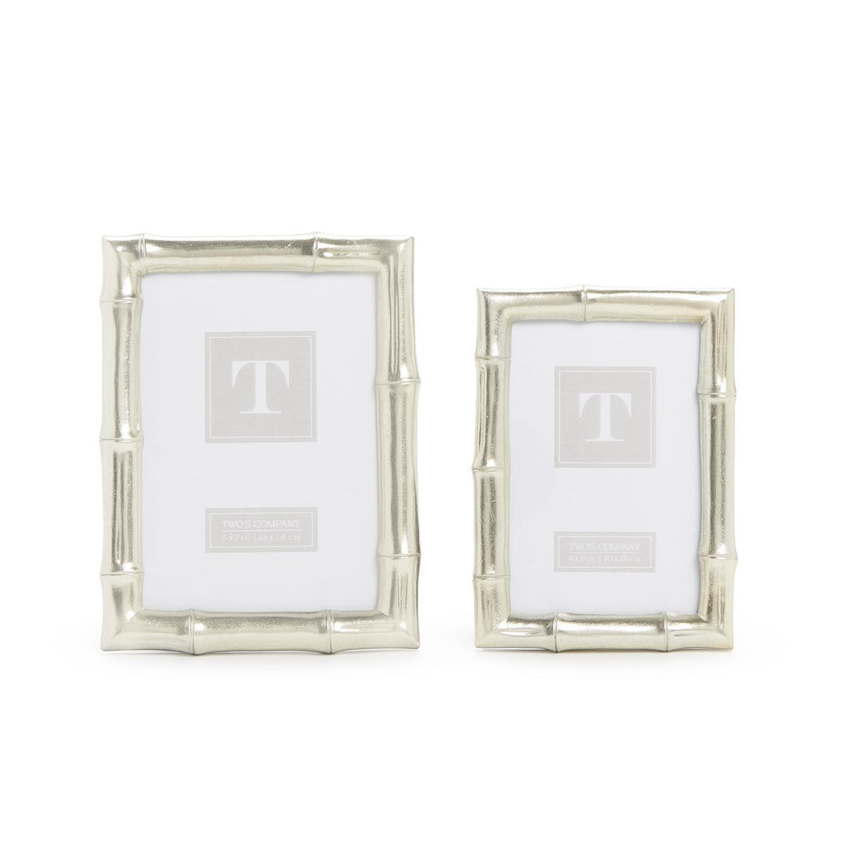 Silver Bamboo Frame