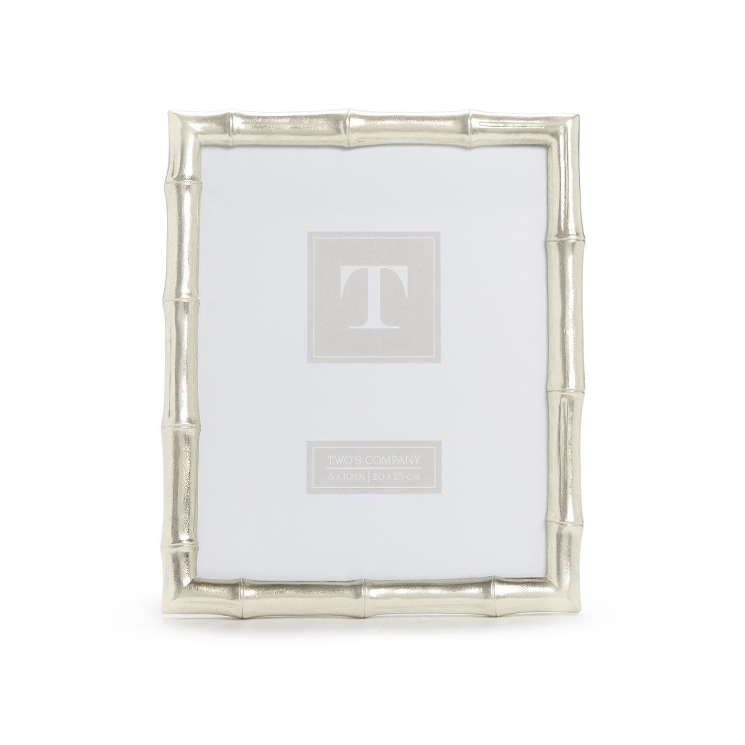 Silver Bamboo Frame 8x10