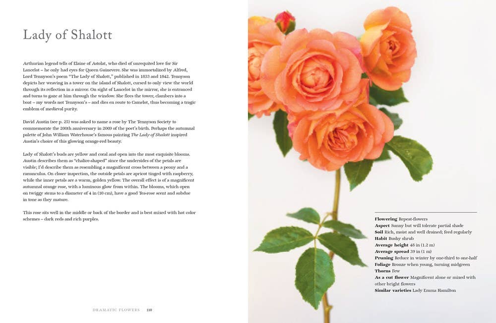 Gibbs Smith - Vintage Roses: Beautiful Varieties for Home & Garden