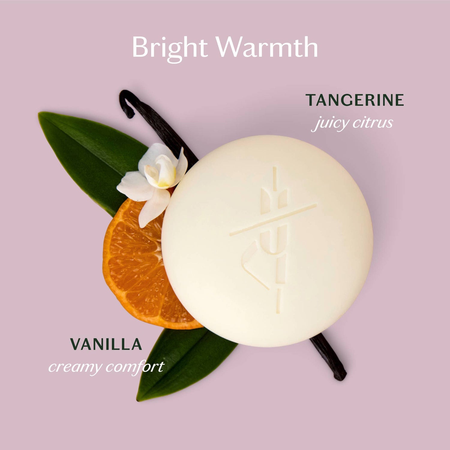 Kate McLeod - Tangerine &amp; Vanilla | Deep Moisturizing Lotion Bar