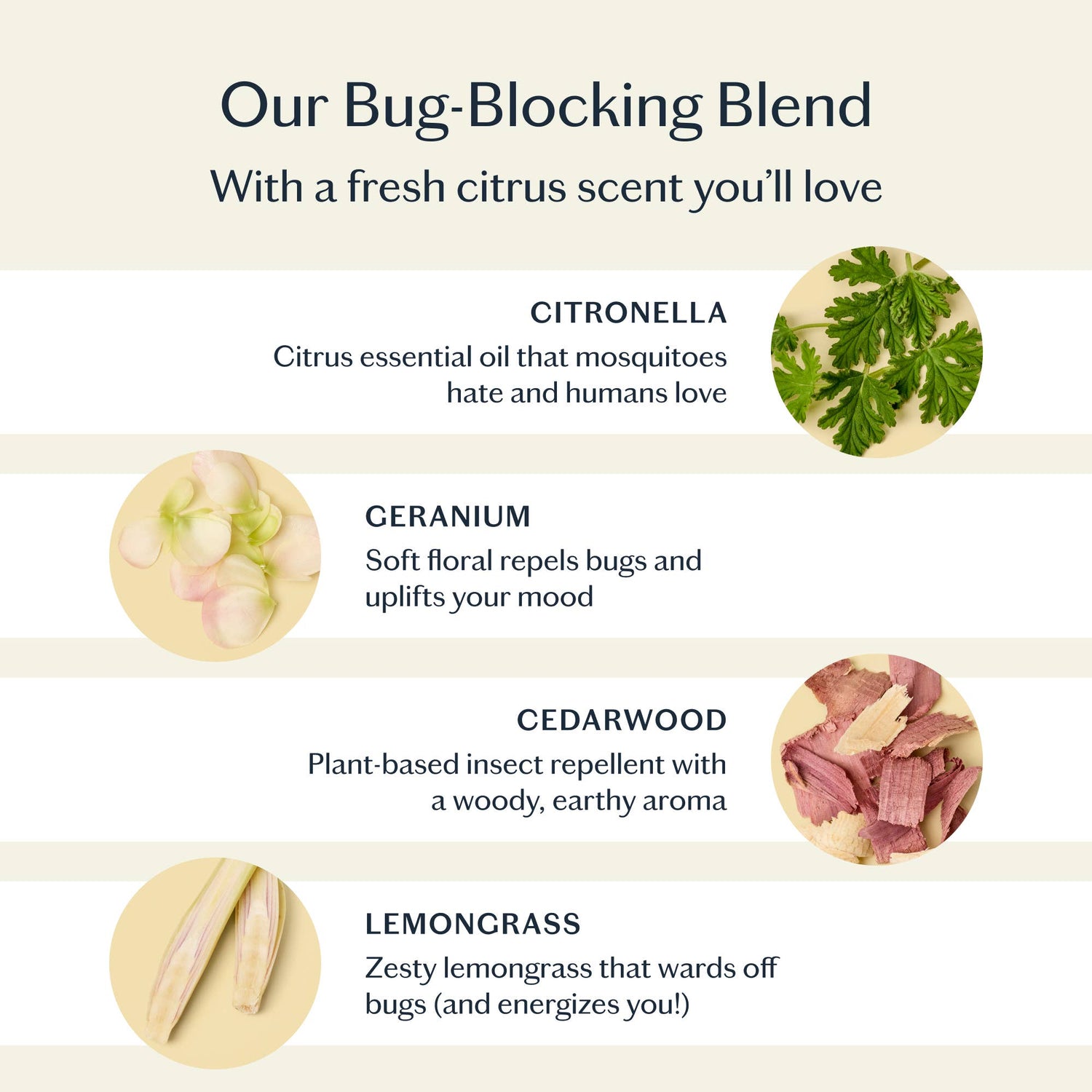 Kate McLeod - The Bug Balm | All-Natural Insect Repellent