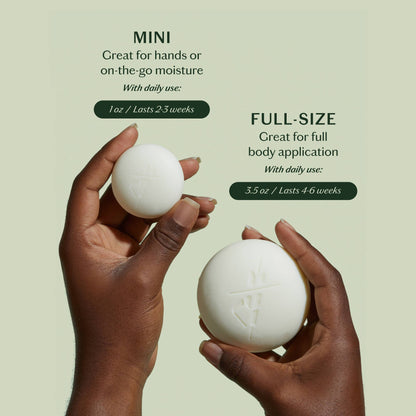 Kate McLeod - The Scent Discovery Set