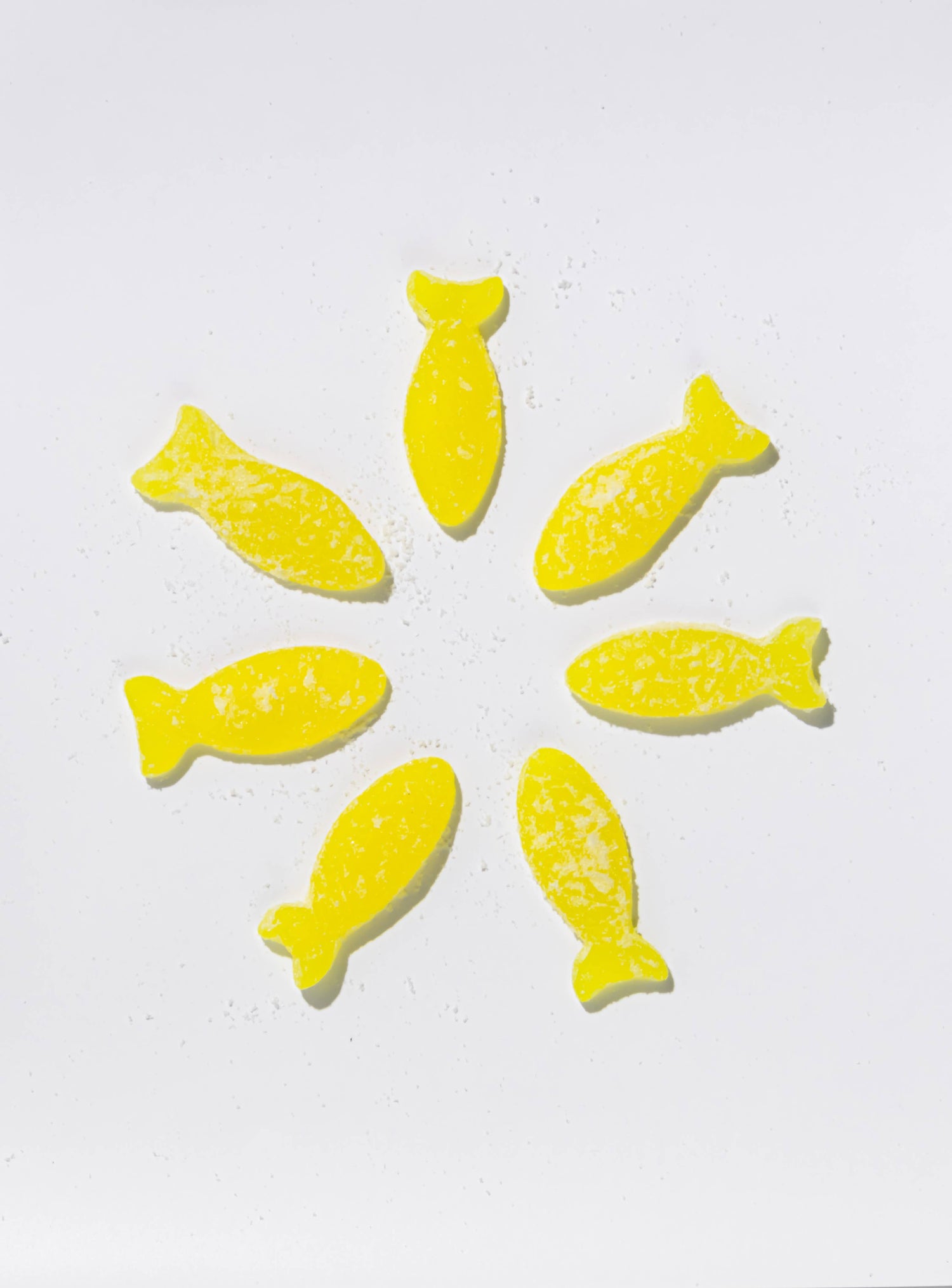 BonBon NYC - Sour Elderflower Fish
