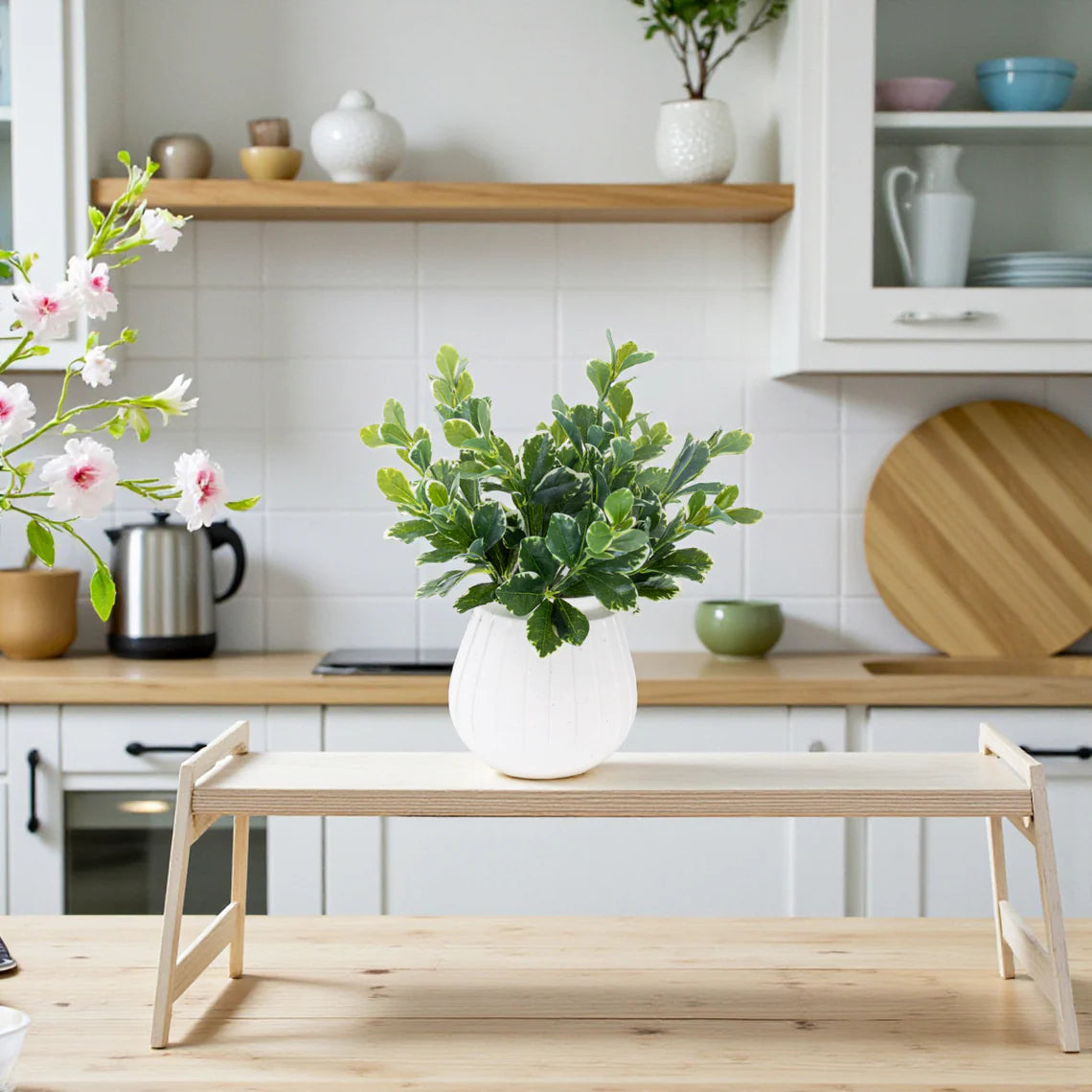 Pittosporum Variegated Bush