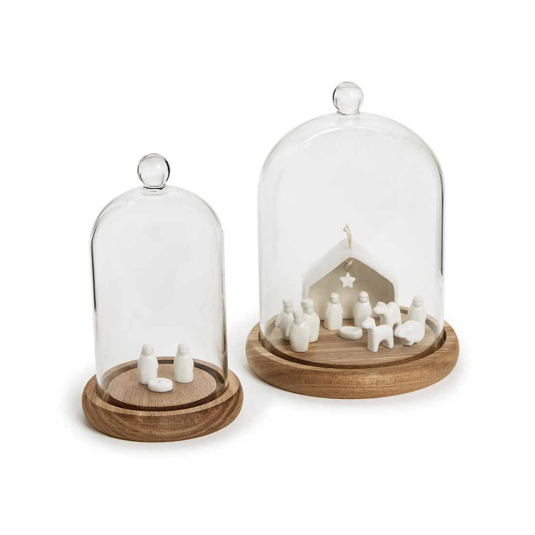 Cloche with Wooden Base