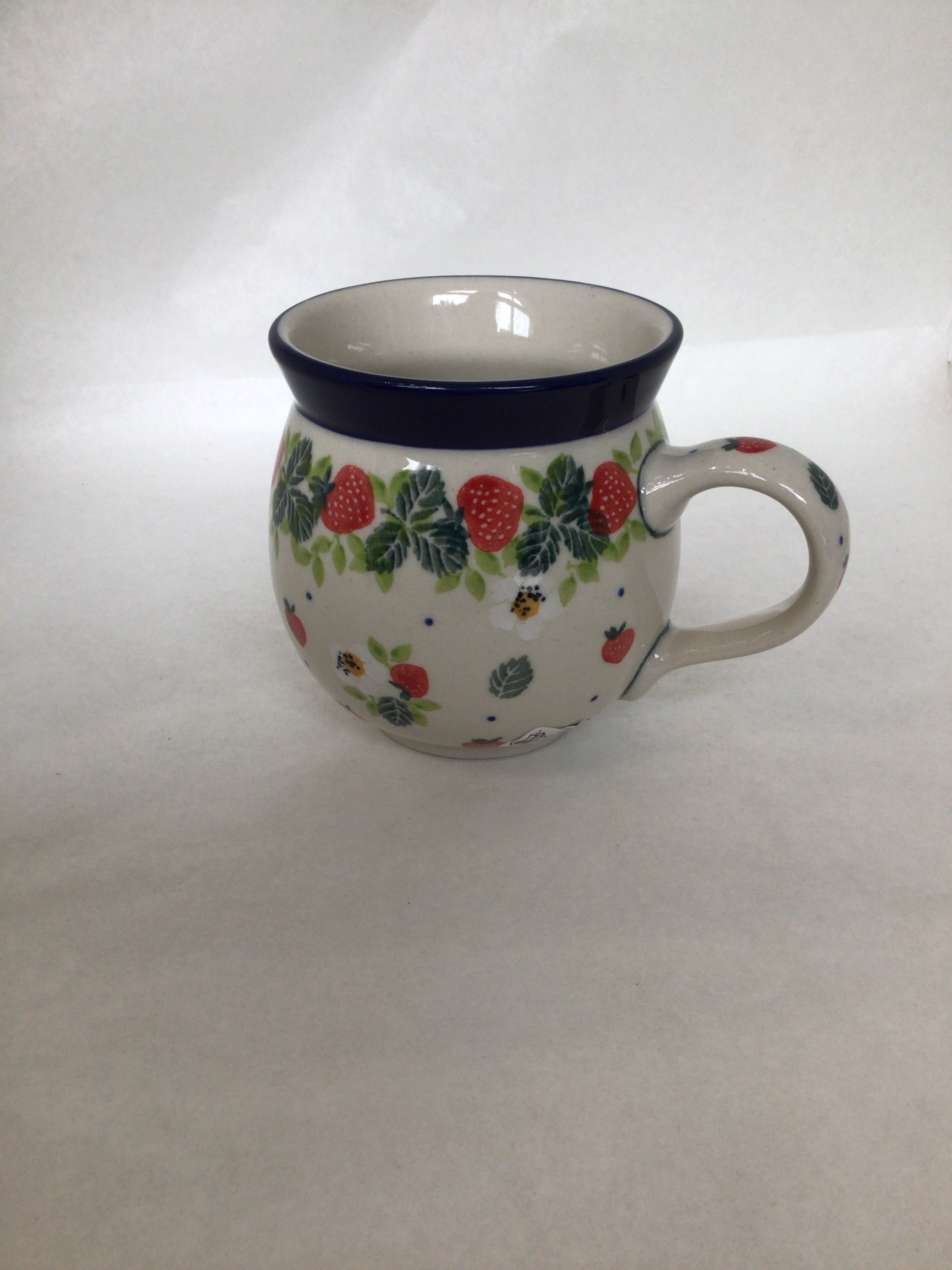 Strawberry Fields 11 oz Bubble Mug