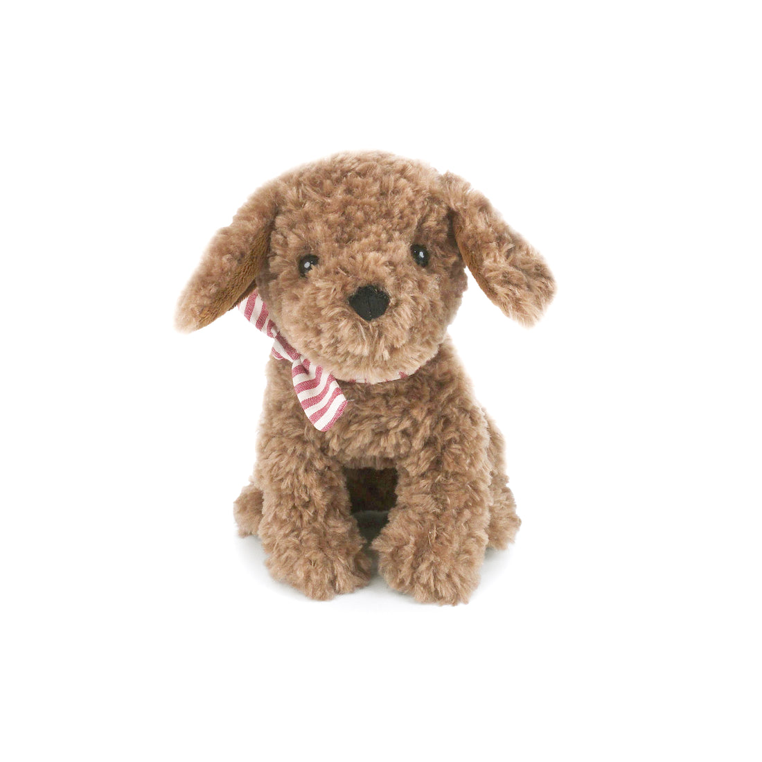 Duke Labradoodle