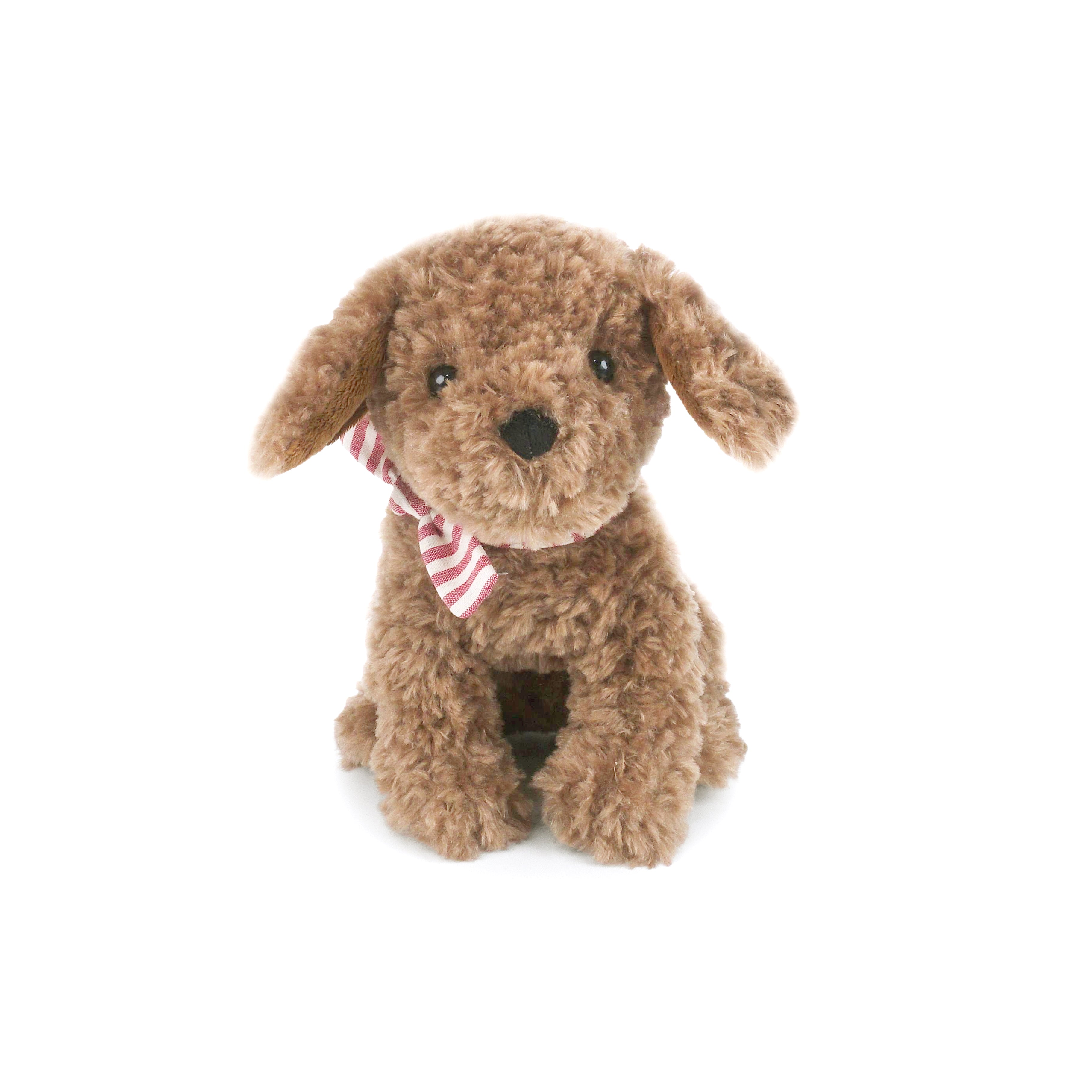Duke Labradoodle