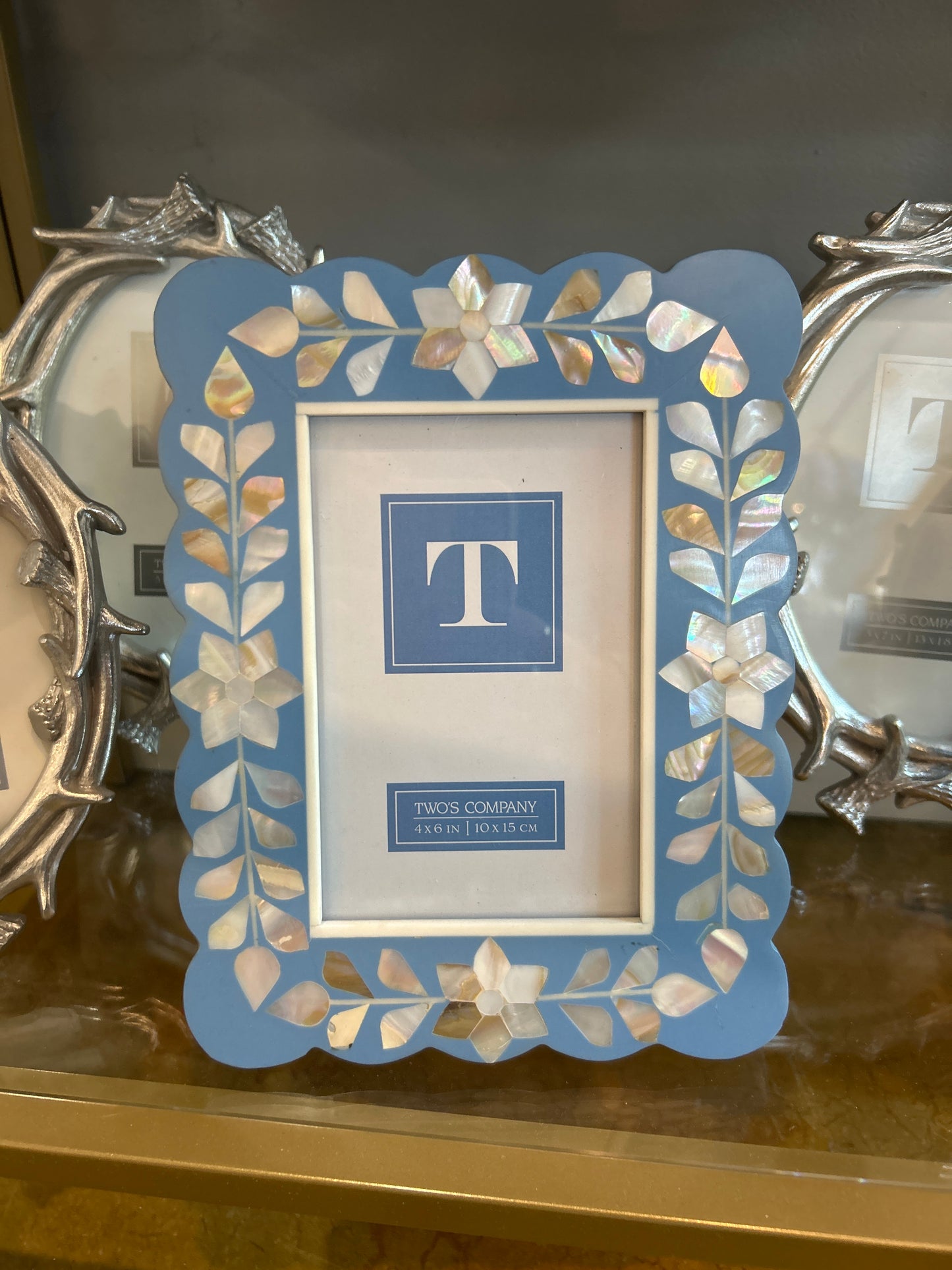 Blue Hydrangea Frame