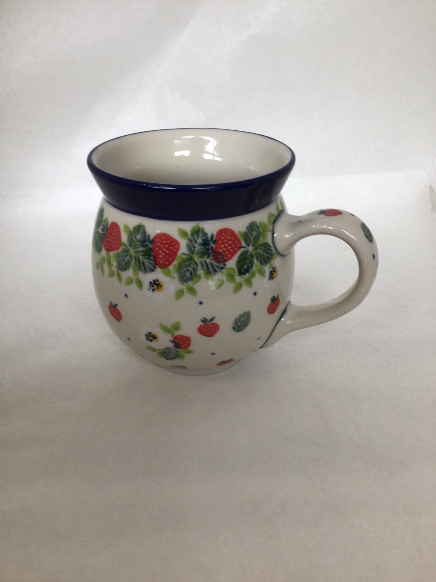 Strawberry Fields 16 oz Bubble Mug
