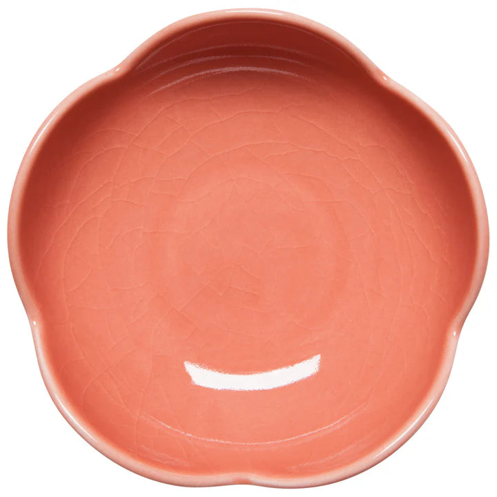 Opus Dish