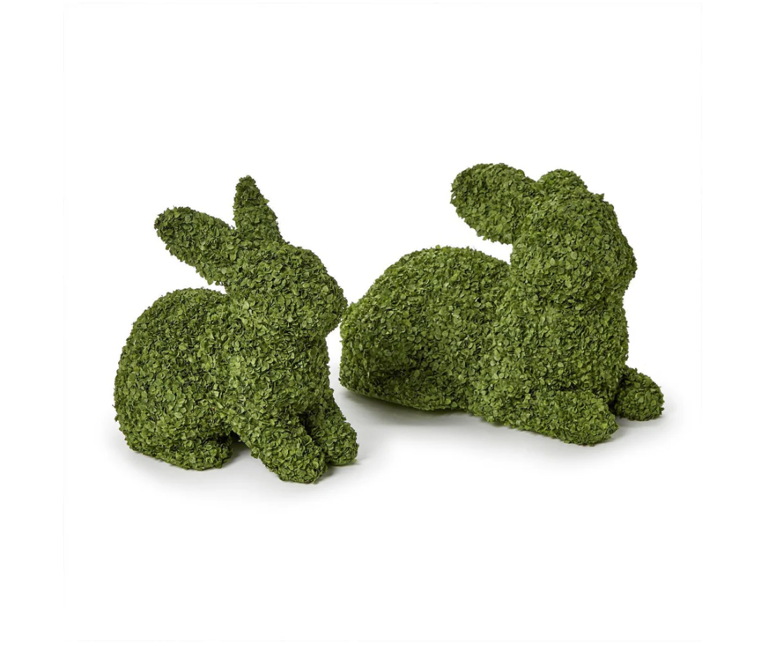 Preserved Buckwheat Husk Bunnies