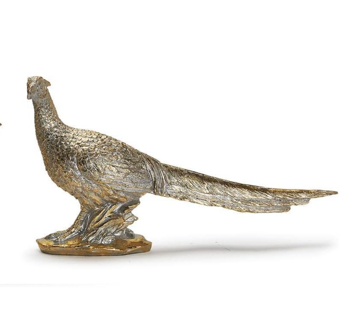 Golden Pheasant