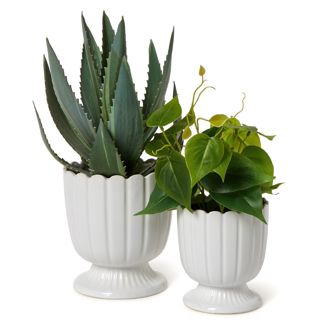 Scalloped Edge Planter