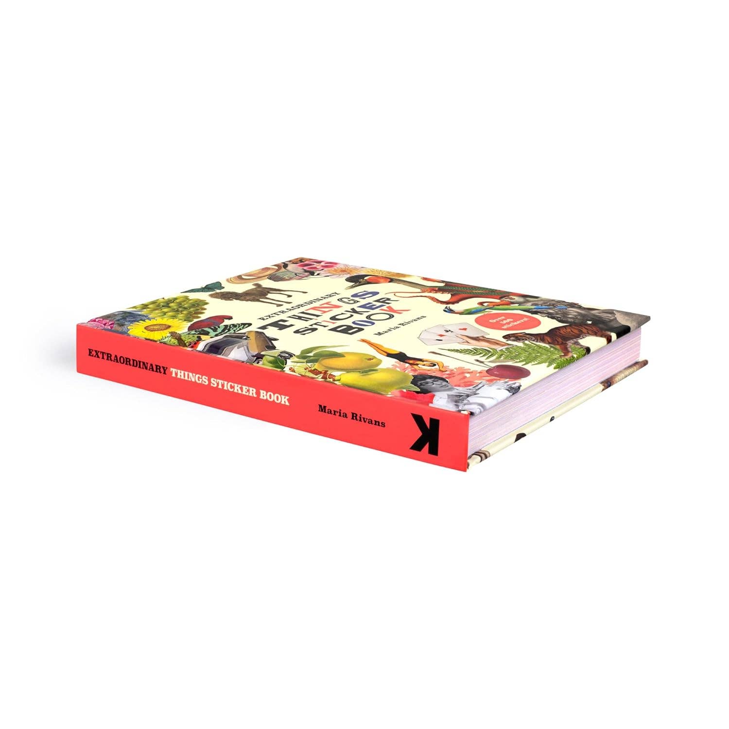 Chronicle Books - Extraordinary Things Sticker Book