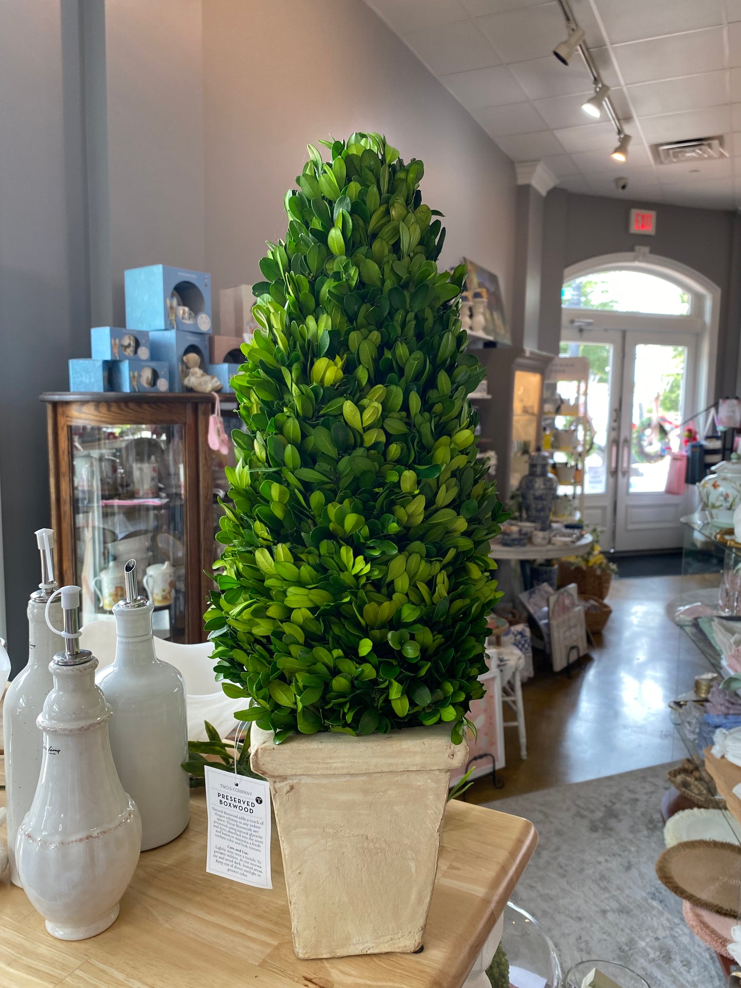 Preserved Boxwood Cone Topiary