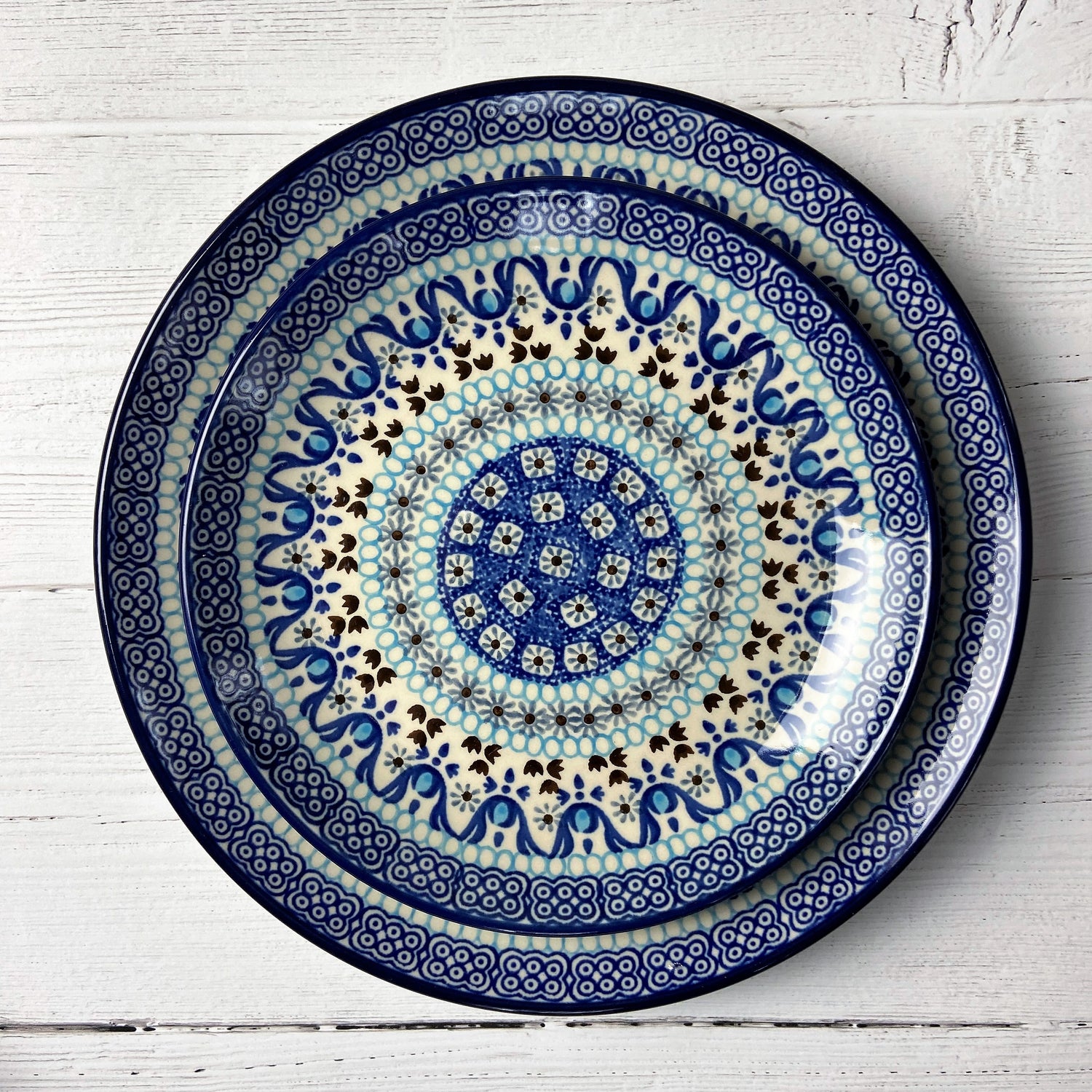 Frozen Dinner Plate 10&quot;