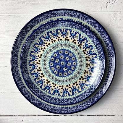 Frozen Dinner Plate 10&quot;